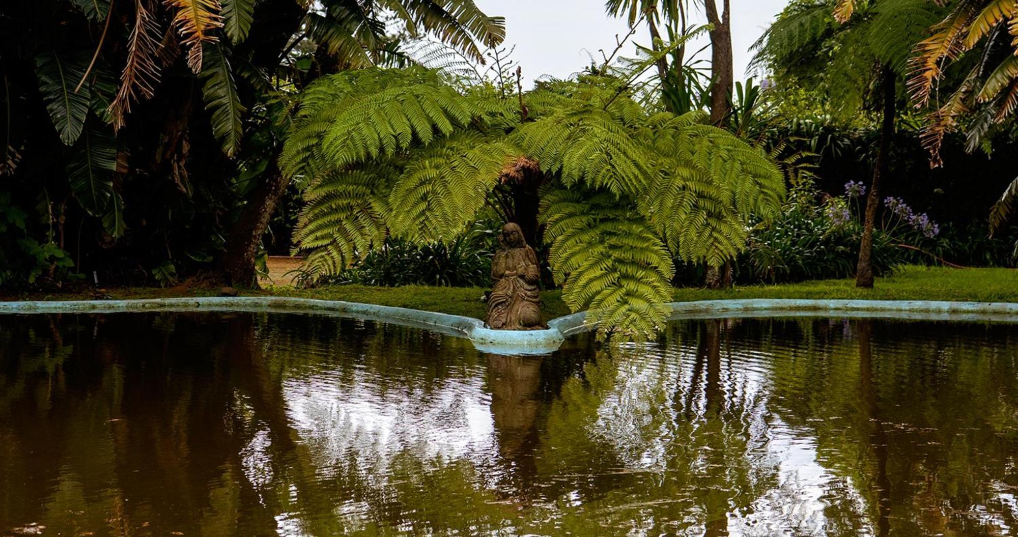Aparthotel Quinta Da Nasce Agua Angra do Heroísmo Zewnętrze zdjęcie